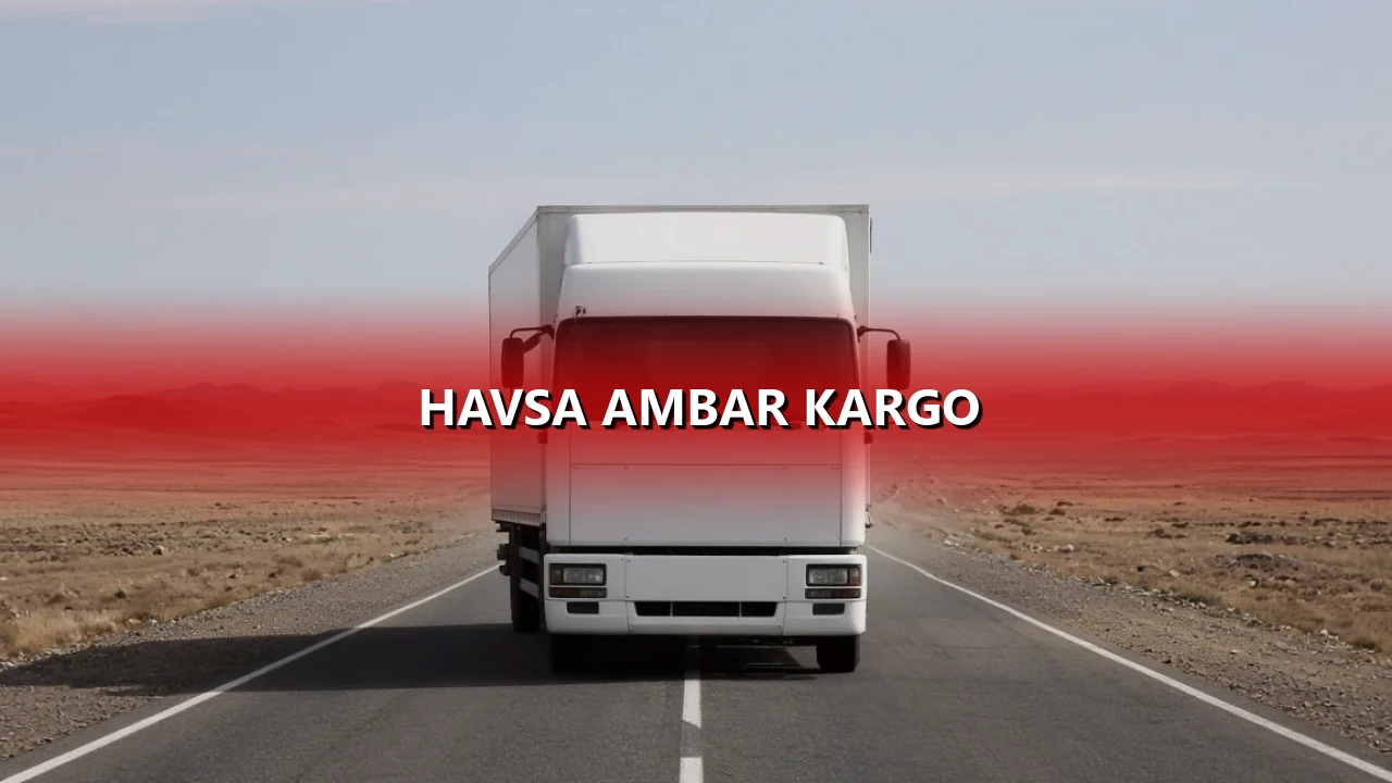 Havsa Ambar Kargo